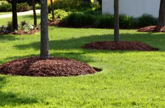 The Science Behind Achieving a Perfect Lawn