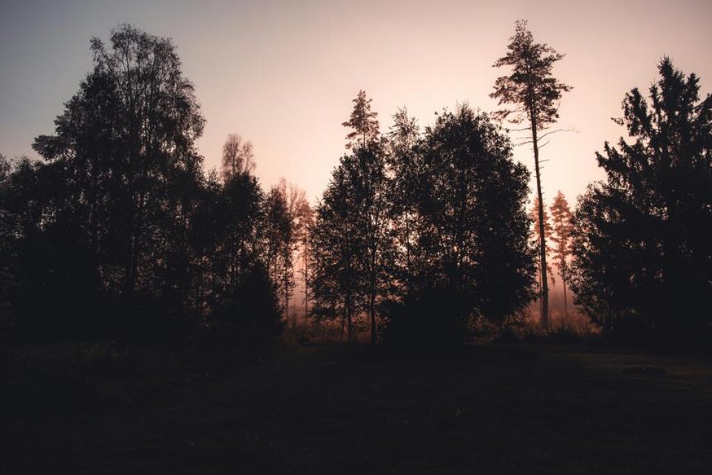 How Do You Choose the Best Camping Destinations for Wildlife Viewing? How Do You Choose the Best Camping Destinations for Wildlife Viewing?
